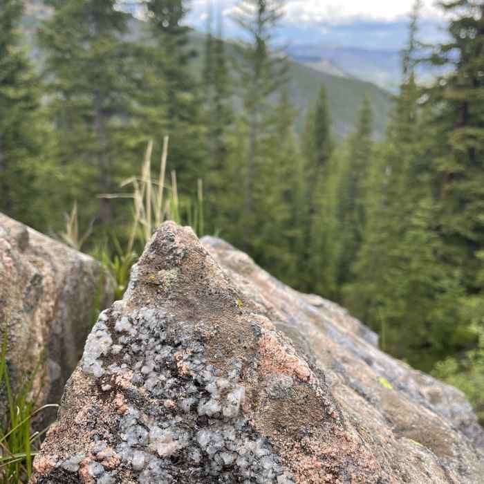 Near Wheeler Lakes Trail #60.1A