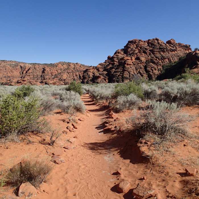 Near Lava Flow - Petrified Dunes Loop