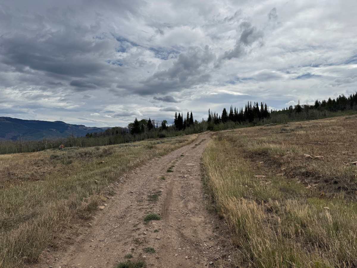 Piney Road trail photo