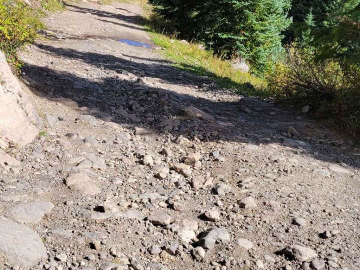 West Fork Cimarron Road photo 6