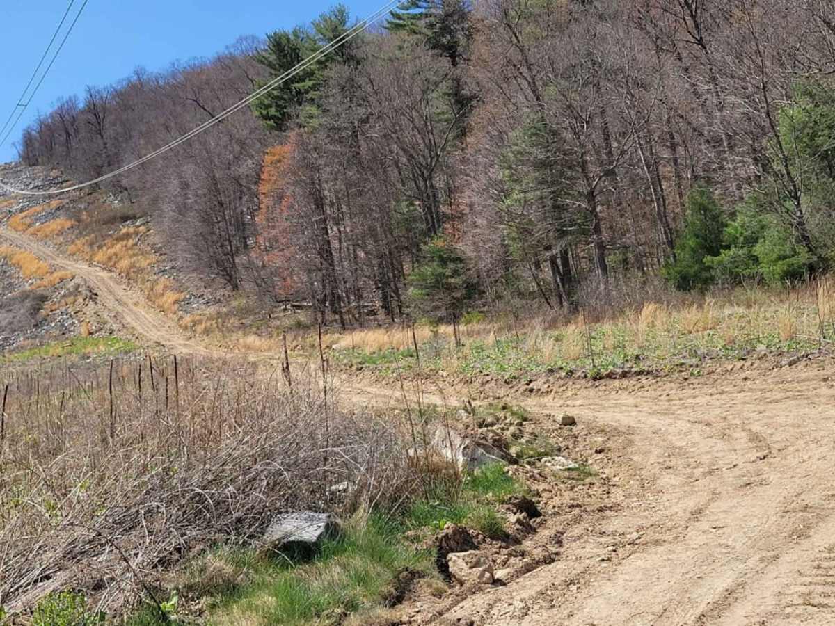 Licking Creek photo 4