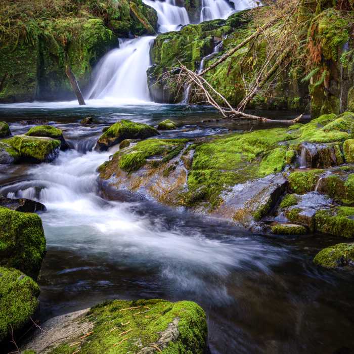 Lower Sweet Creek Falls from Wagon Road Trail Near Sweet Creek Trail #1319
