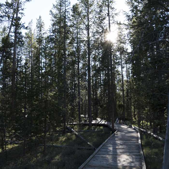 Two Ribbons Trail entering the trees on west side of loop. Near Two Ribbons Trail