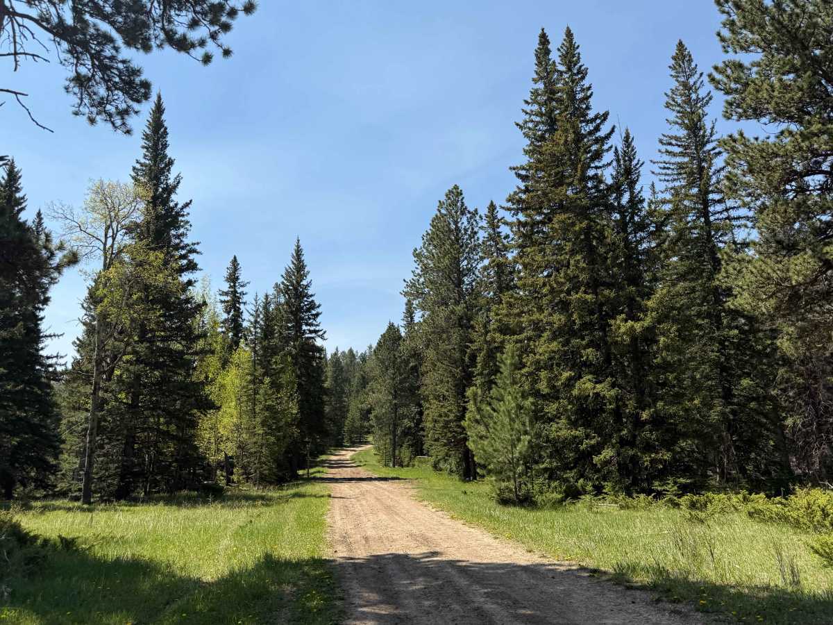 Flag Mountain - FS 189.2 trail photo