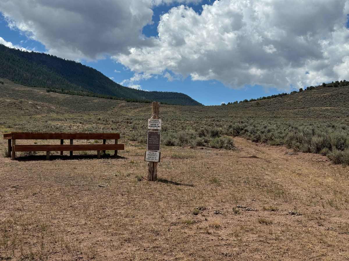 BLM 8634 photo 2