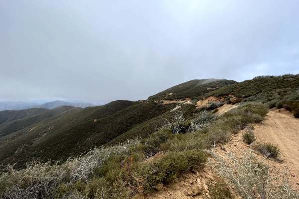McPherson Peak - FS 32S13