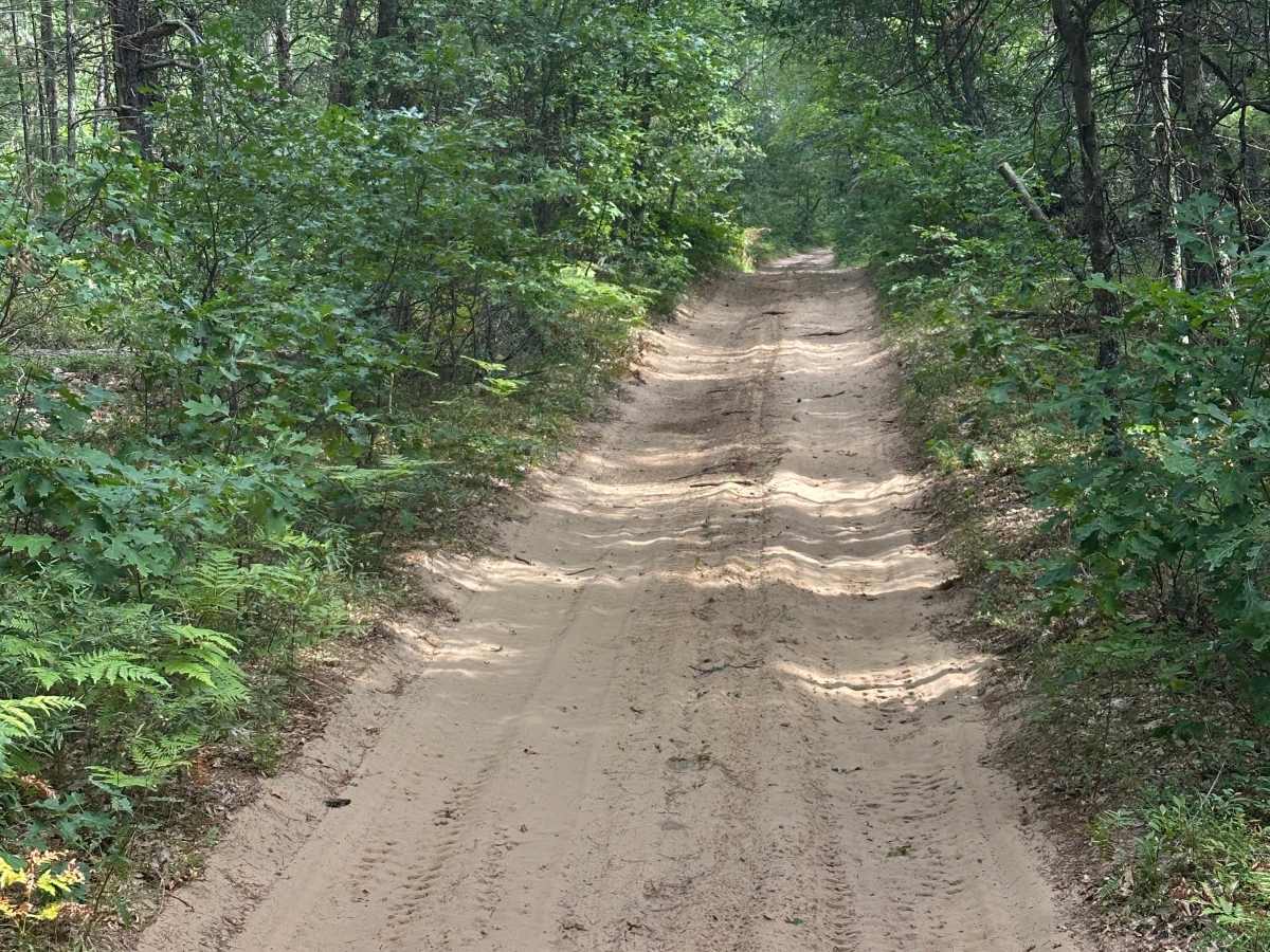 Iosco Road photo 6