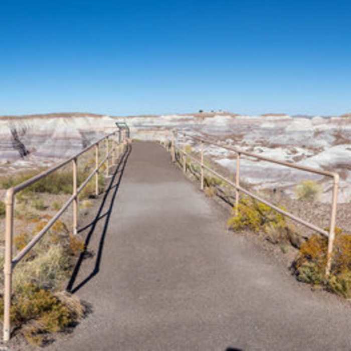 Petrified Forest National Park Near Blue Mesa Trail
