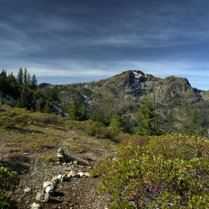 View from where the #905 crosses the ridge Near Steve Fork Trail #905