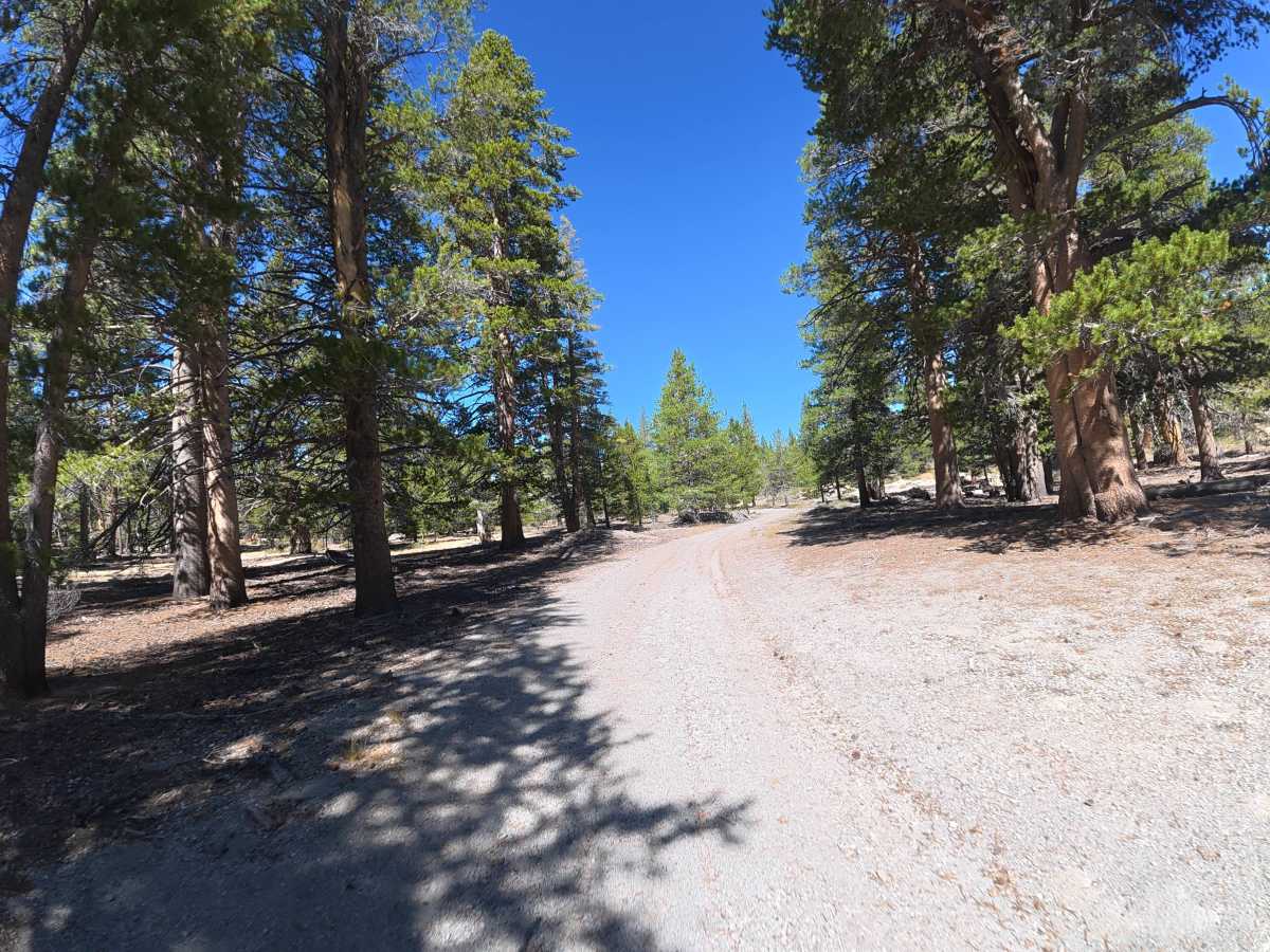 Old Rail Cutoff photo 6