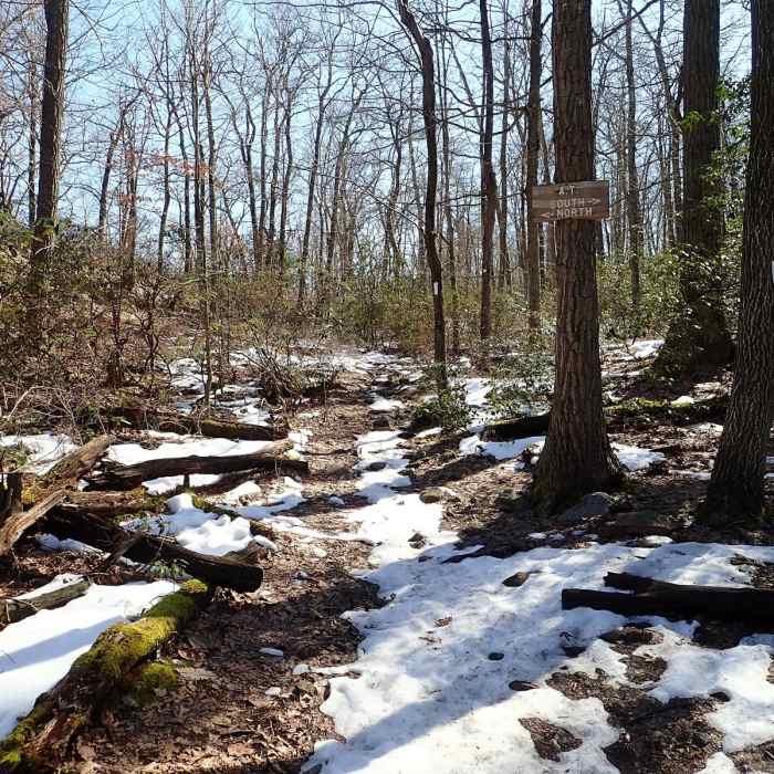 Near West Mountain Loop