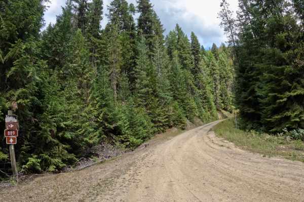 Canyon Creek (3816)-Cromie Creek (236)