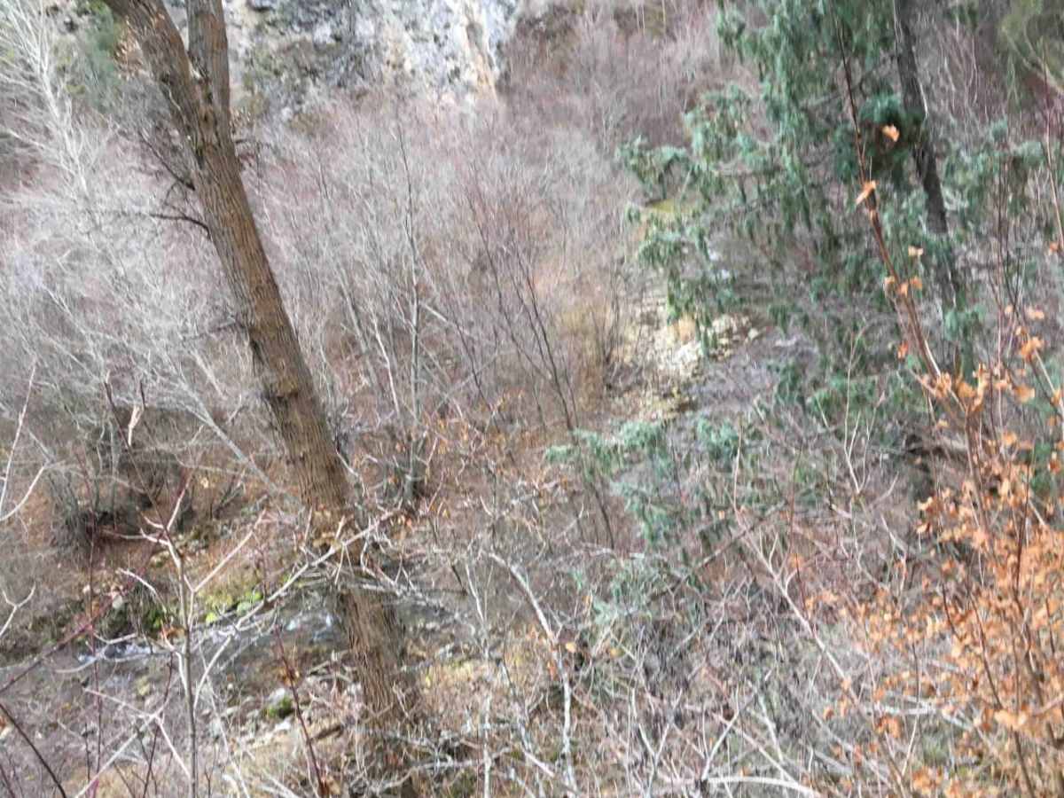 Burns Creek, Hell Hole, and Coalmine Access photo 3