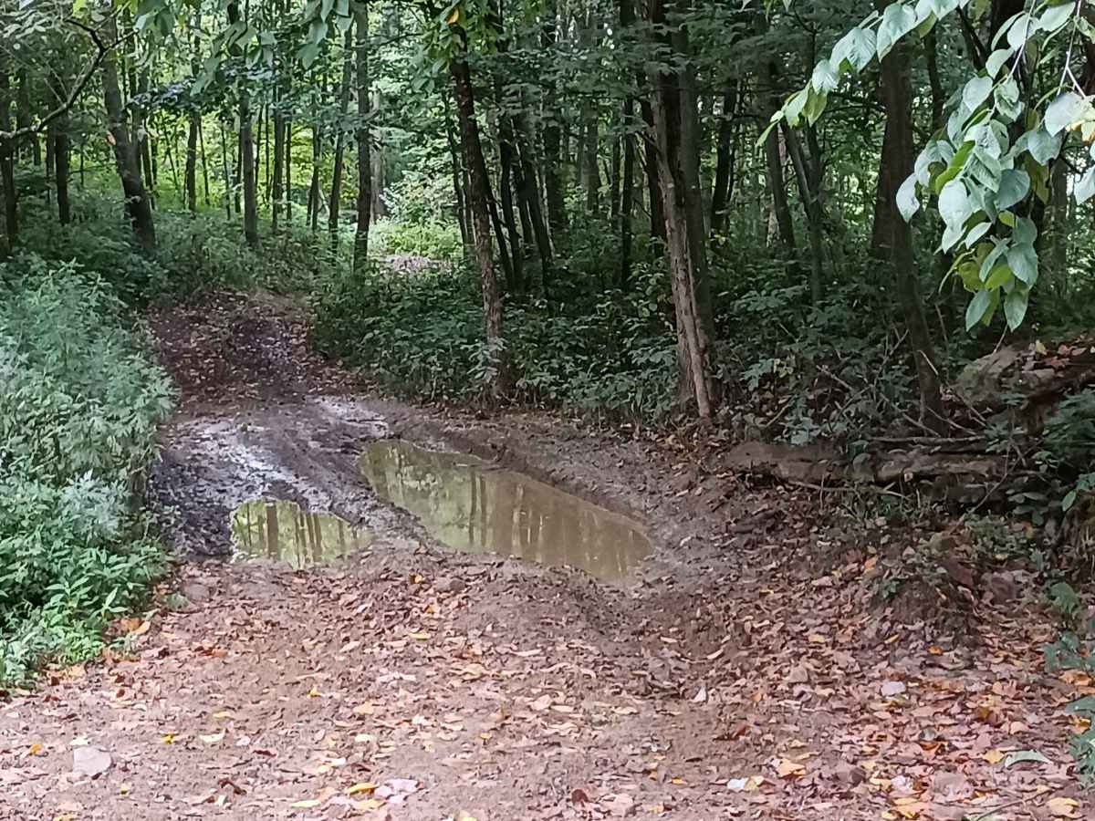 Rock Den Ridge Top Bypass - Rock Run Recreation Area trail photo