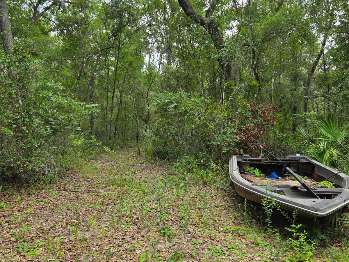 Lake Eaton Way photo 4