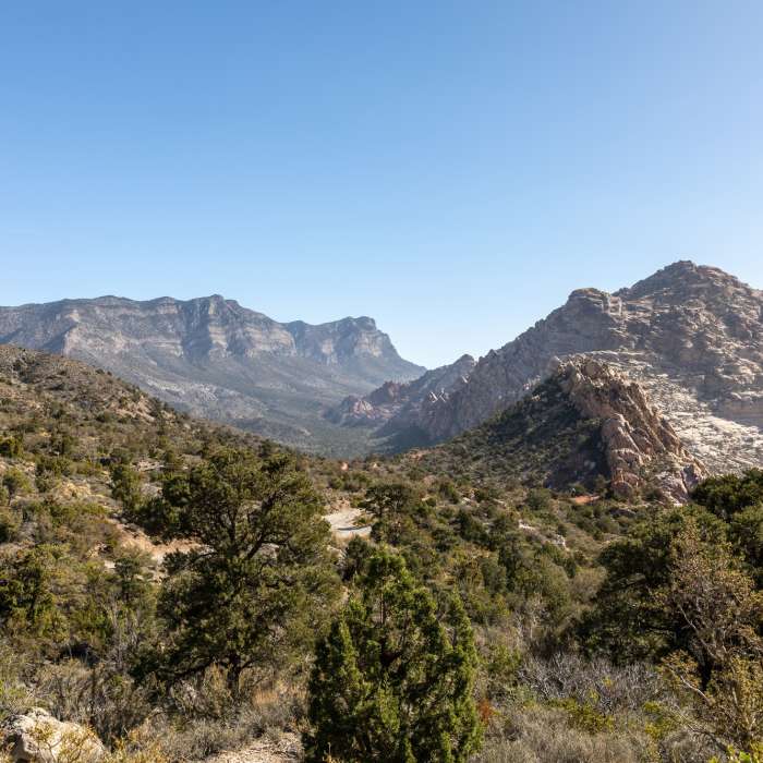 La Madre Mountains and White Rock Hills from Rocky Gap Road. Near Rocky Gap Road