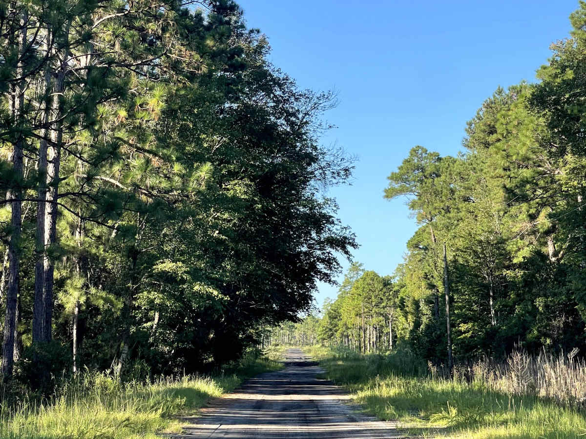 West Boiling Springs Road trail photo