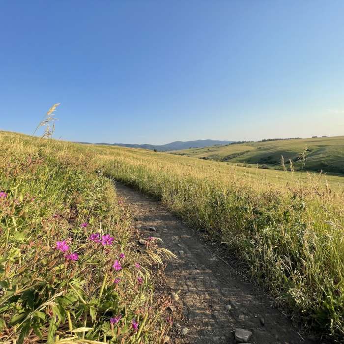 Near Painted Hills Trail (and Connector Trail)