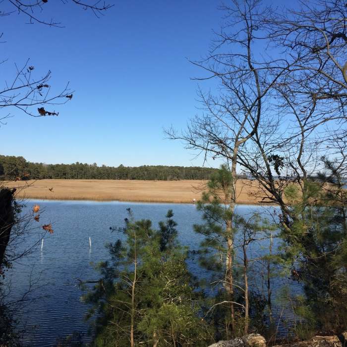 Enjoy spectacular views of Queens Creek from the New Quarter Park Loops. Near New Quarter Park Loops