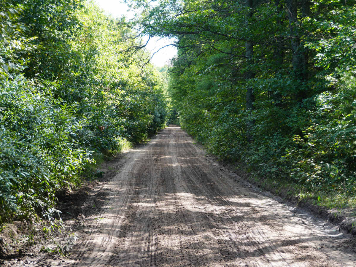 East Grass Lake Road photo 2