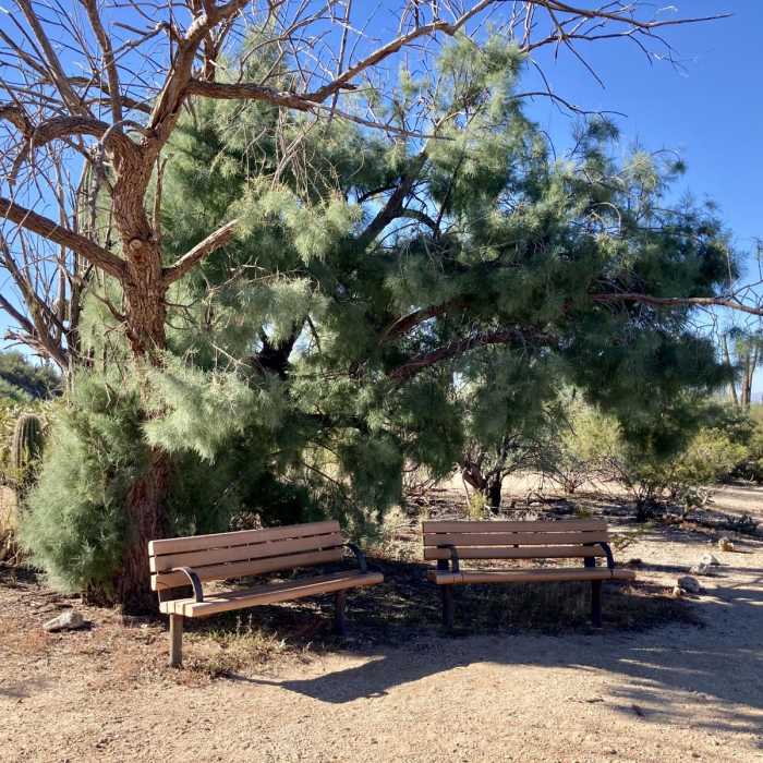 Near Freeman Homestead Trail