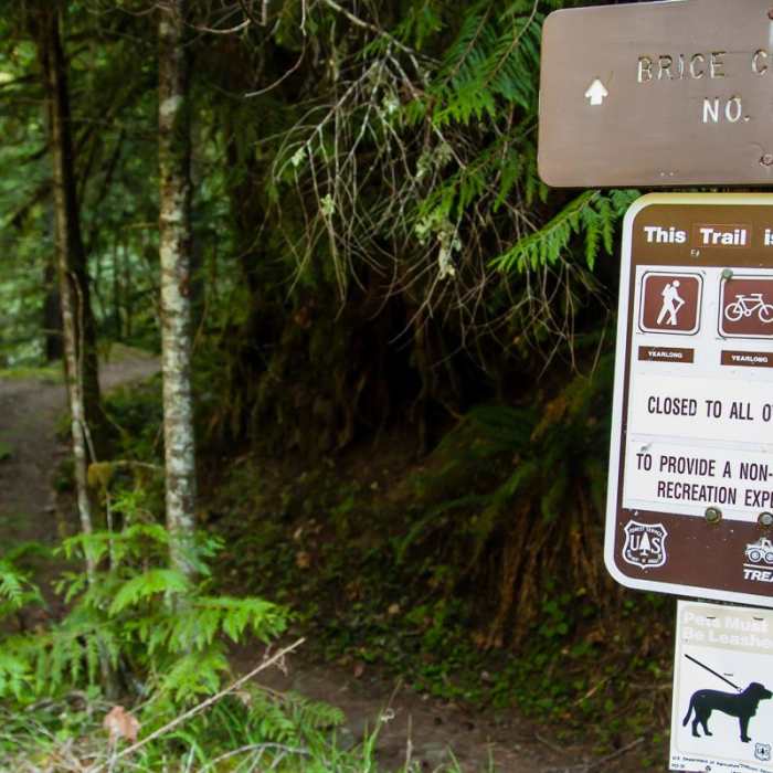 Near Brice Creek Trail, Champion Creek Trailhead to Lund Campground Hike