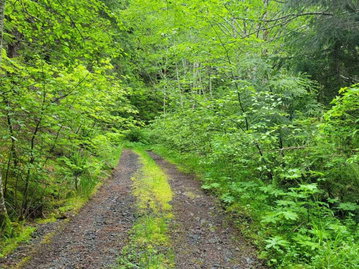 Kugel Creek photo 6