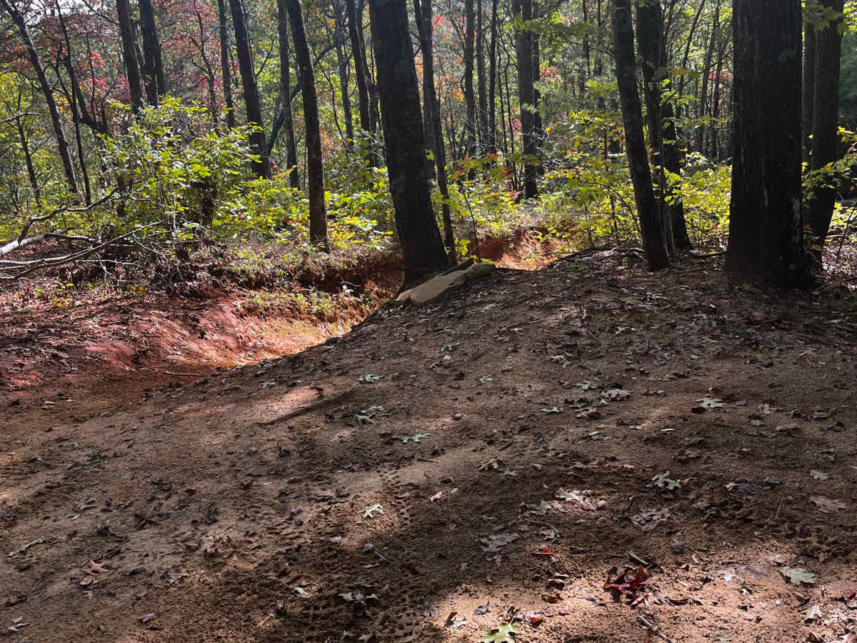 Moates Knob - Oakey Mountain OHV photo 5