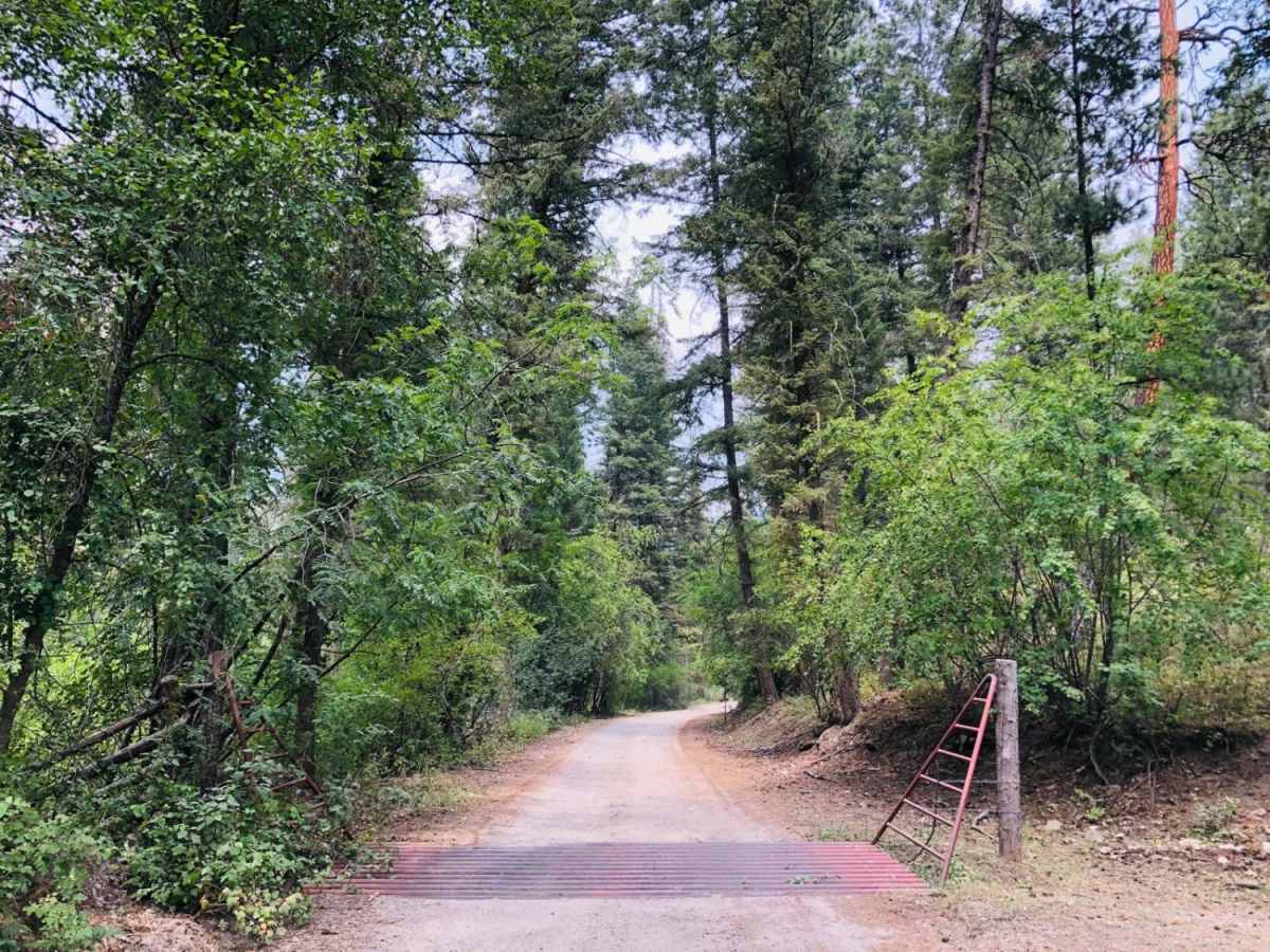 4th of July Trail trail photo