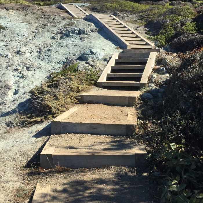 Near California Coastal Trail: Presidio