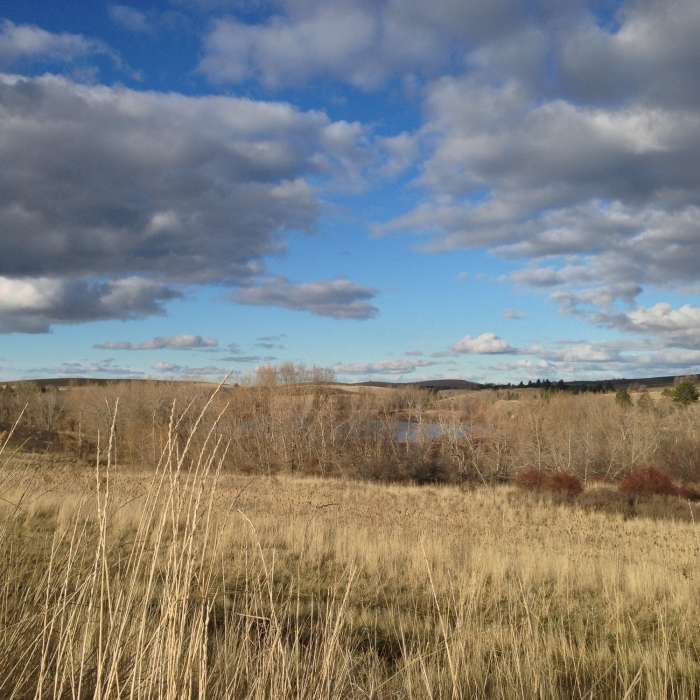 Near Meadowlark Trail