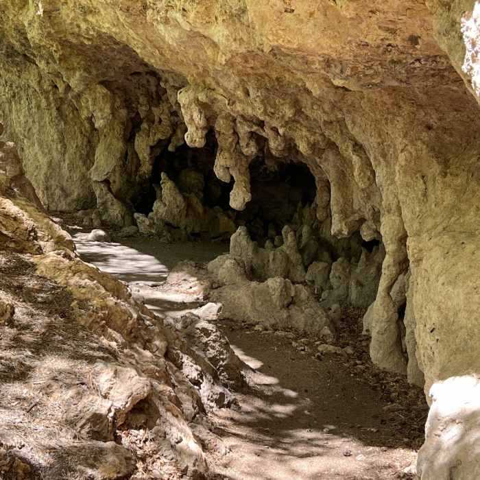 Near McKittrick Canyon Trail