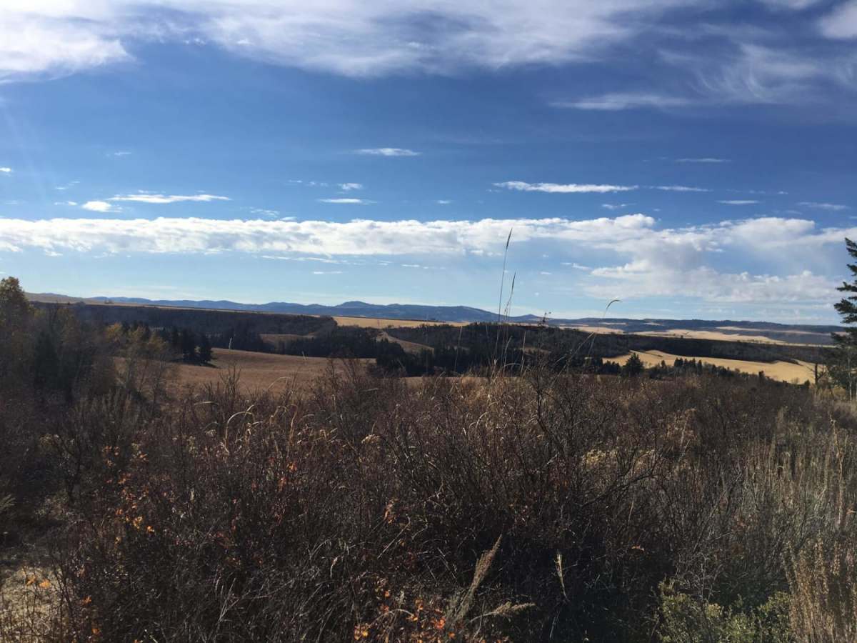 Old Ranger trail photo