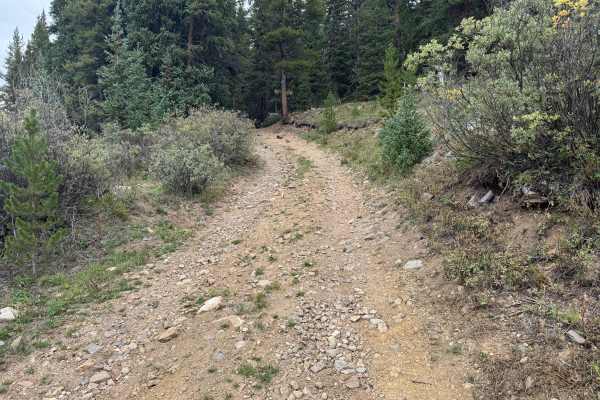 Cooper Loop