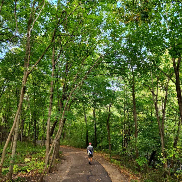 Near Lower Nine Mile Creek Trail
