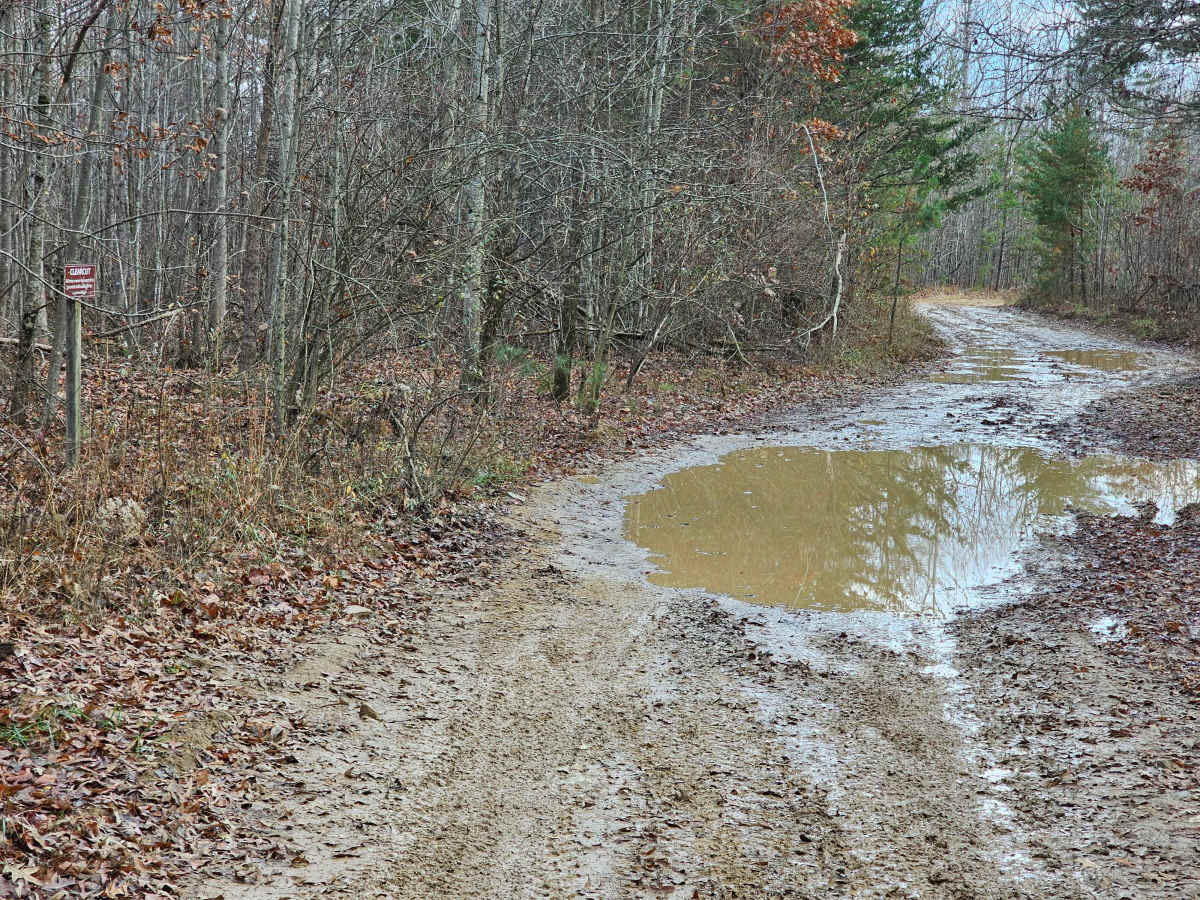 Sulfer Branch Road photo 2