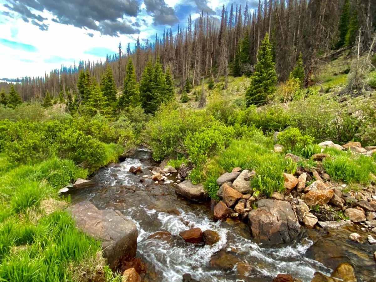 Rat Creek Loop photo 4