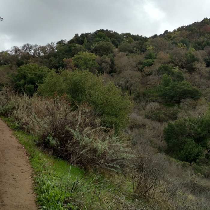 The New Almaden Trail offers a beautiful landscape for all to enjoy, even on a winter's day. Near Mine Hill Trail