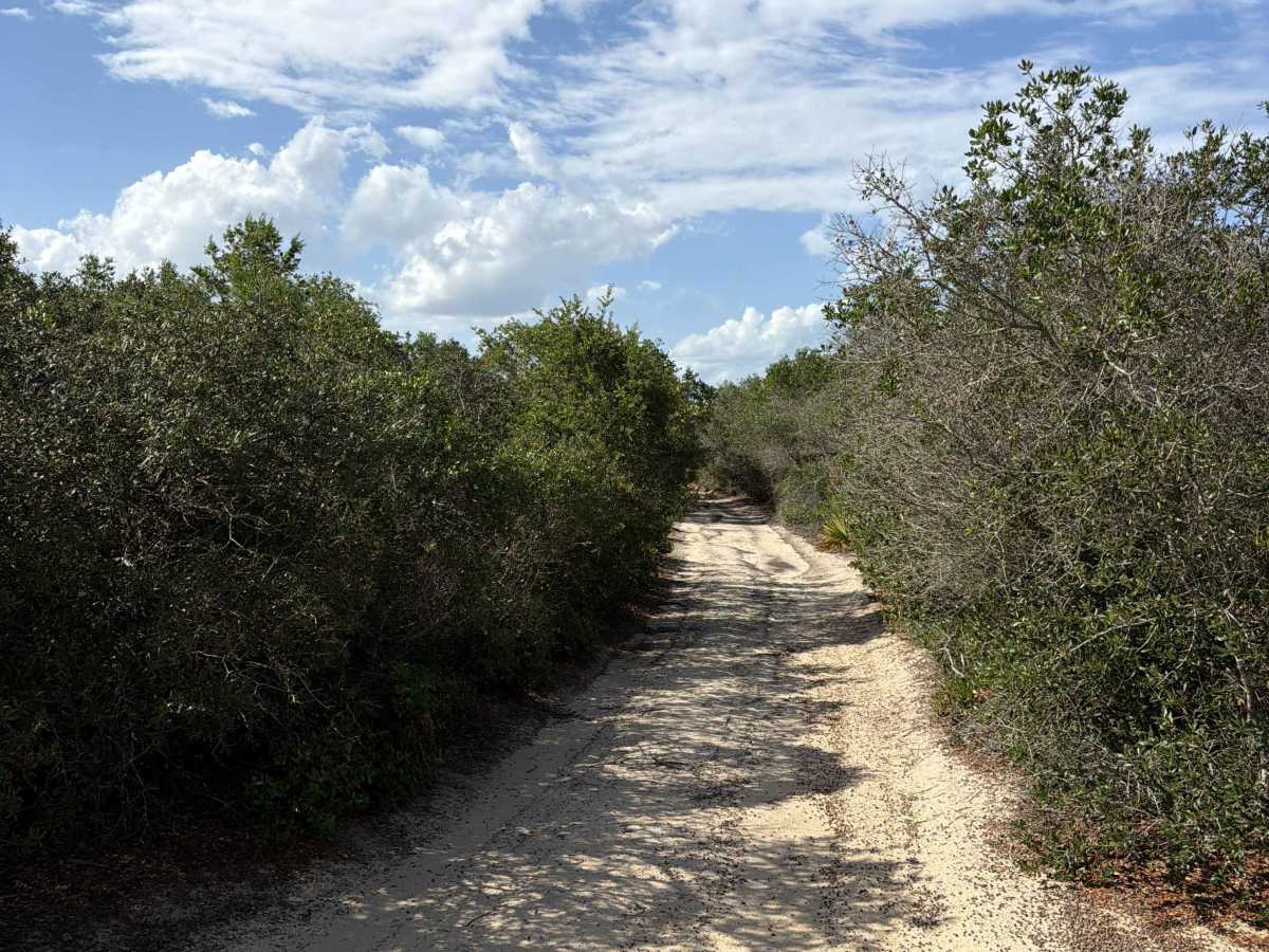 Lam Horse Trail - FS 22-2.8 photo 6