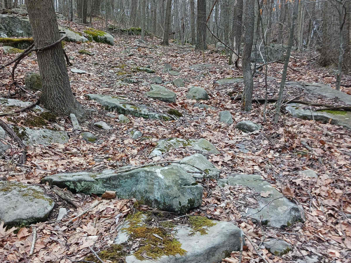 OHV 61 - Rock Run Recreation Area photo 5