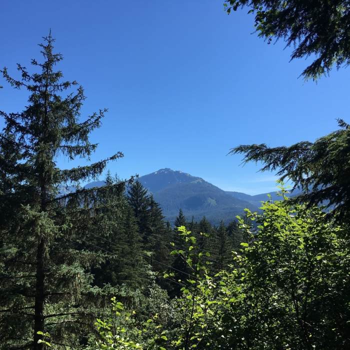 Near Gold Creek Flume Trail