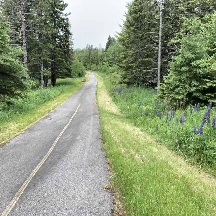 Near Gitchi-Gami State Trail - Gooseberry Falls State Park to Split Rock Lighthouse State Park Segment