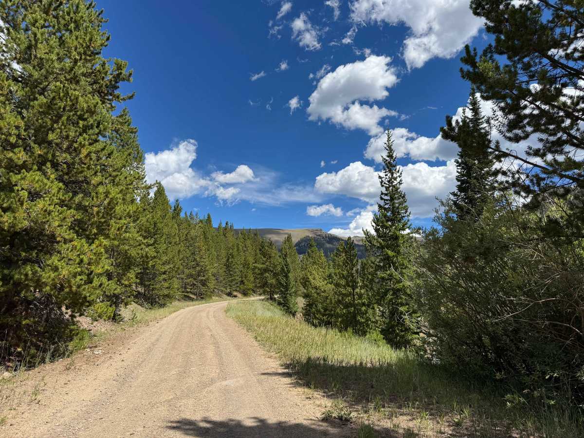 East Fork Road photo 5