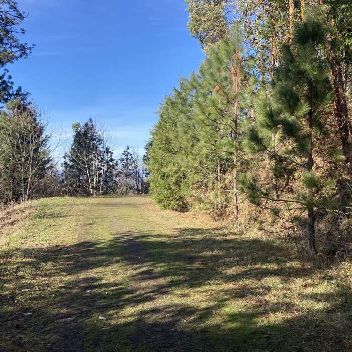 Near Wild Iris Ridge