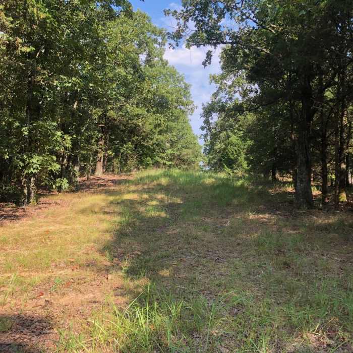 Near Upper Cadron Ridge Trail