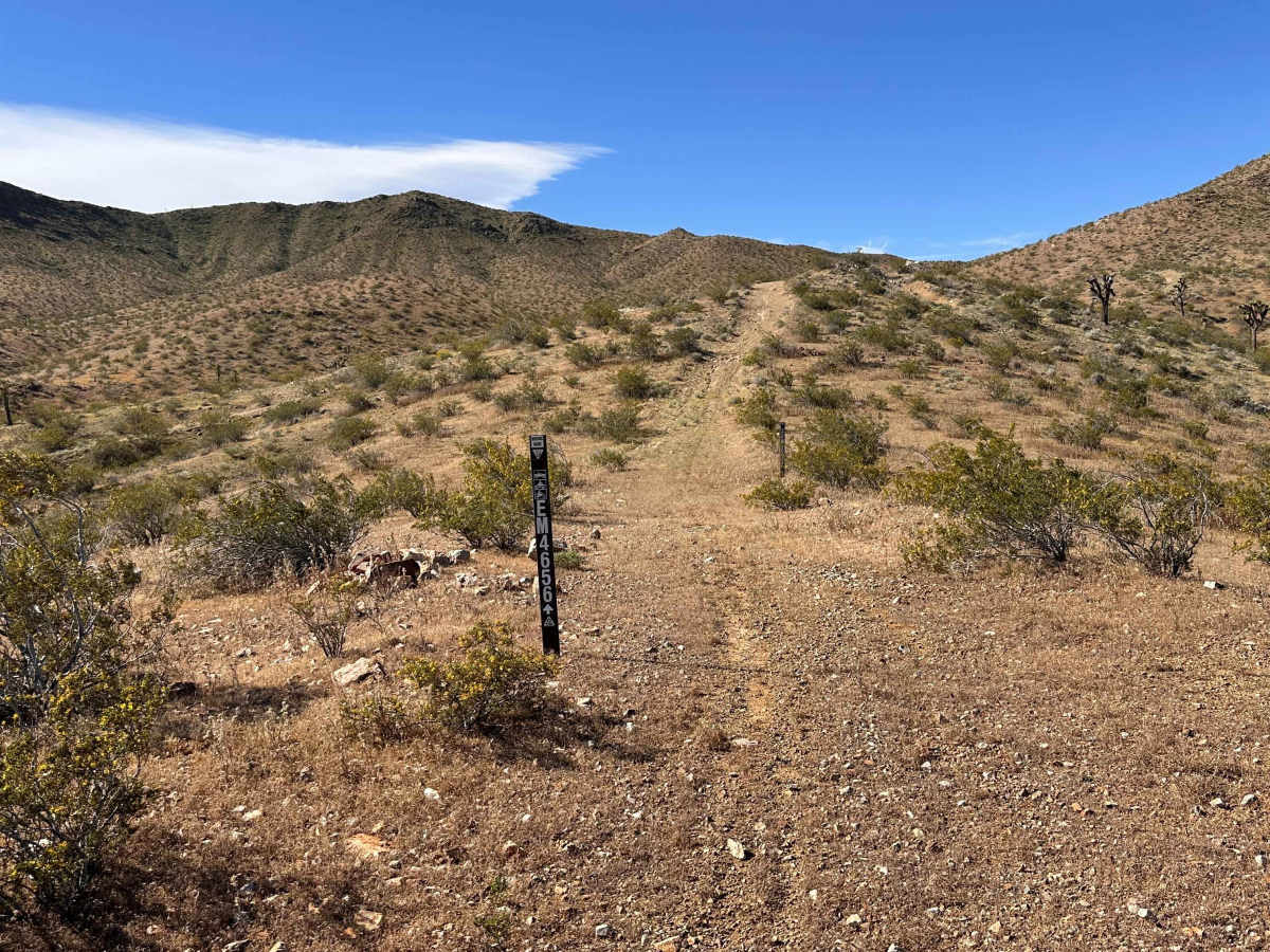 Lost Prospector trail photo