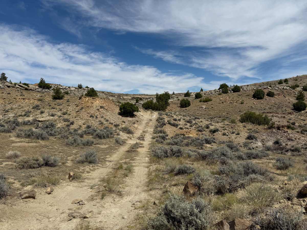 Charlie Trail photo 5