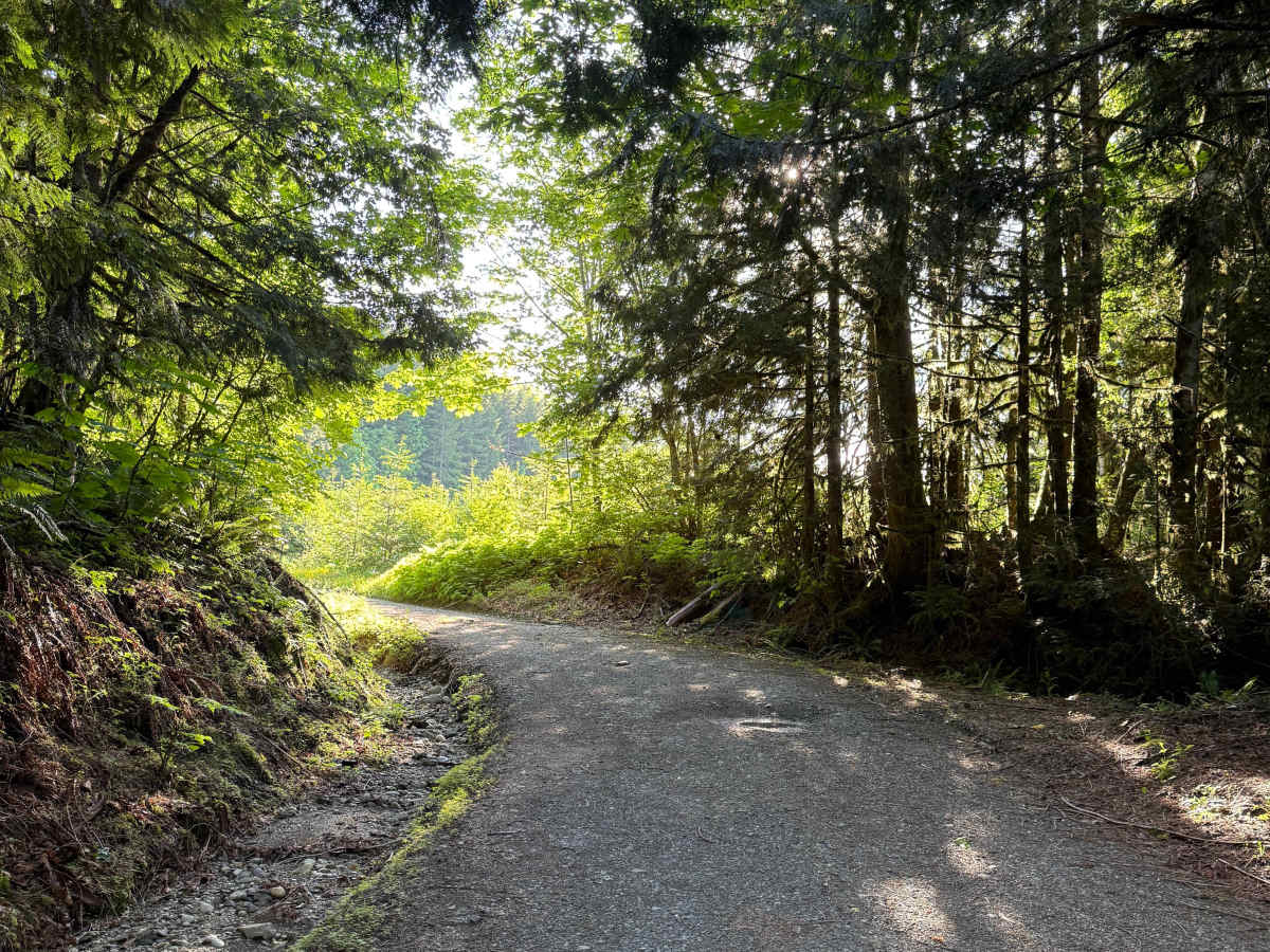Finney Creek Road Loop photo 5