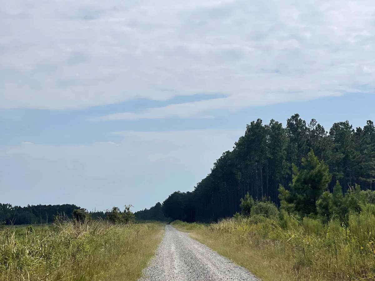 McCoy Road photo 5