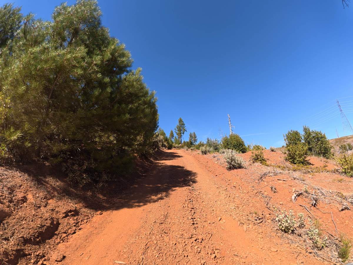 FS 1S25Y photo 4